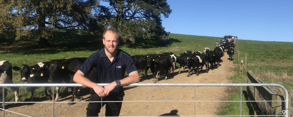 Sean Chubb with Holstein Friesian herd on farm in England