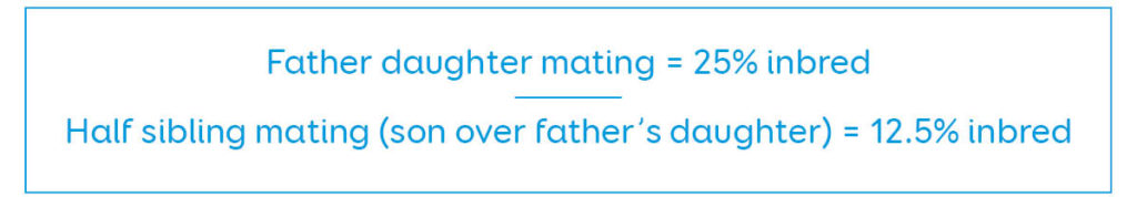 inbreeding percentages