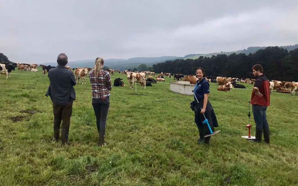Bess Jowsey on a farm in Northern England