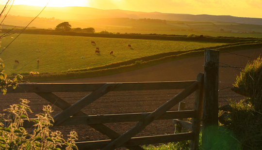 LIC-Artikel in der Zeitschrift British Dairying