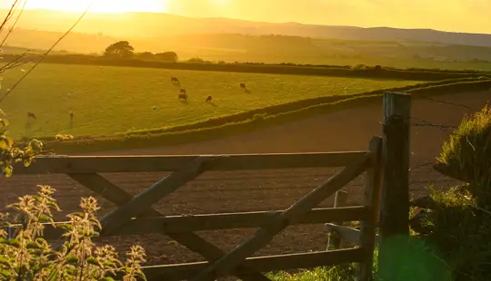 LIC feature in British Dairying magazine