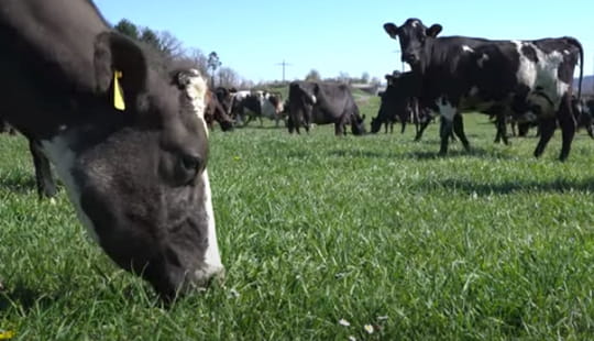 Pitt Käch Organic Farm, Switzerland