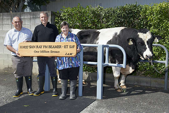 Ray and sandra Hocking Beamer bull