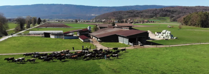 swiss_dairy_farm_susanne_kach