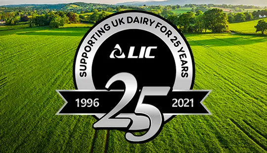 LIC_UK_25_year_anniversary