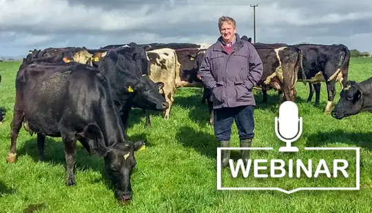 Webinar
