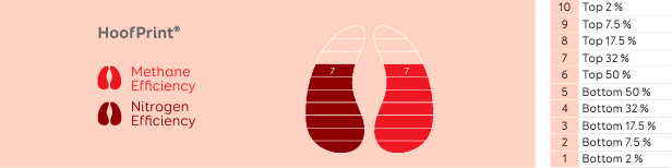 Hoofprint index ranking system