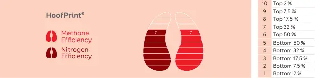 Hoofprint index ranking system