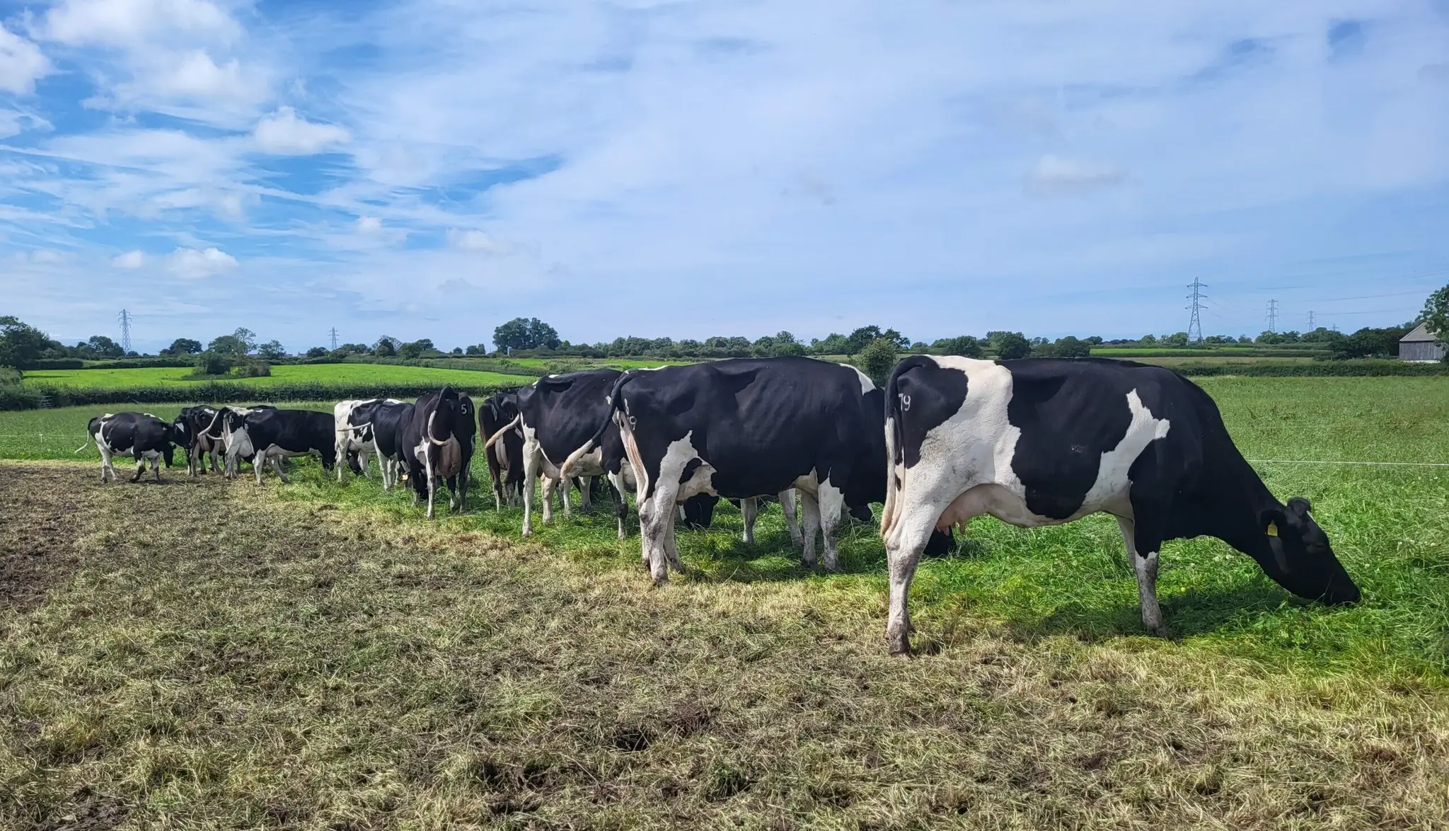 LIC UK Pasture to Profit update - winter 2023