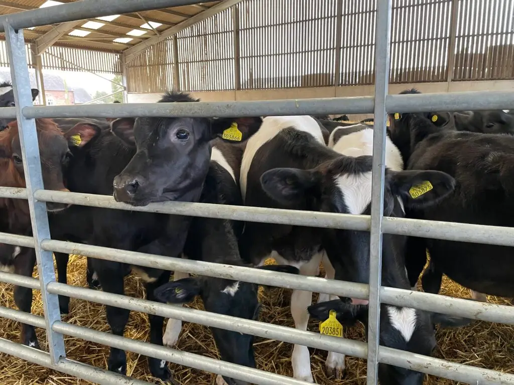 Walford College Farm winter 23-24