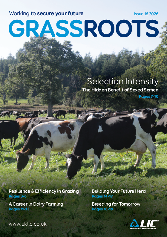 LIC Grass Roots - Issue 16 UK - Winter 2026 (COVER)