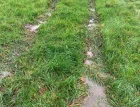 Pasture to Profit February 2026