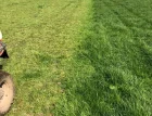 Feed availability, cow condition and declining milk prices dominate discussions across the dairy sector